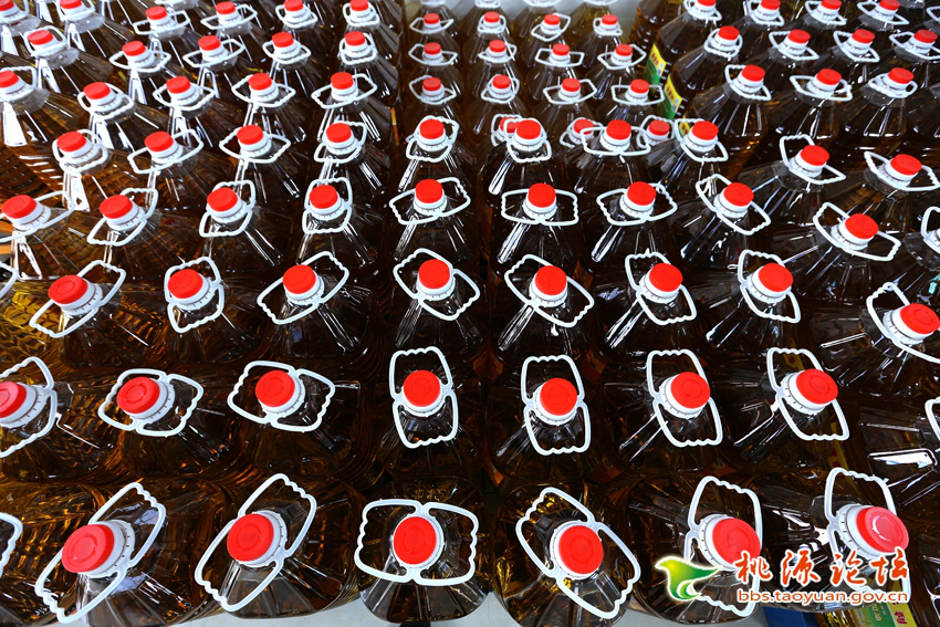 亿万28,油茶莳植生产加工销售,植物油莳植生产加工销售