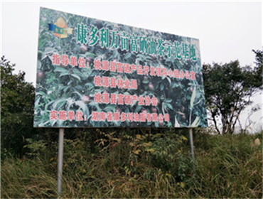 亿万28,油茶莳植生产加工销售,植物油莳植生产加工销售