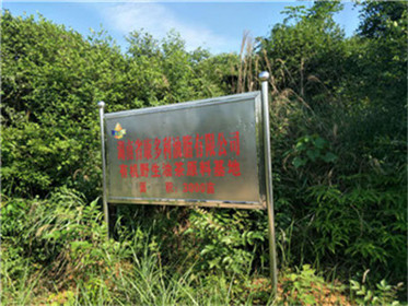 亿万28,油茶莳植生产加工销售,植物油莳植生产加工销售