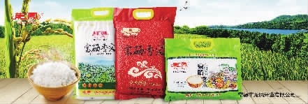 亿万28,油茶莳植生产加工销售,植物油莳植生产加工销售